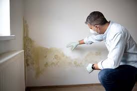 Why You Should Choose Our Mold Remediation Services in Gettysburg, PA